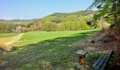 Excursión A pie Pegnitz - Rundweg Hollenberg 4 grün - Photo 10