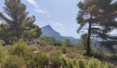 Excursión Senderismo Saint-Marc-Jaumegarde - Randonnée des crêtes au départ du barrage de Bimont  - Photo 17