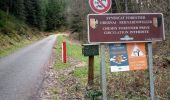 Tour Wandern Ottrott - 2023-02-18 Vorbruck - Mt st Odile - Photo 10