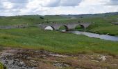 Percorso Marcia Peyre en Aubrac - live Aumont Aubrac - Nasbinals  - Photo 3