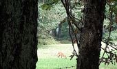 Tocht Stappen Durbuy - Heyd - Fanzel - Photo 1