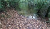 Trail Walking Bort-les-Orgues - Barrage de Bort les Orgues - Château de Val - Photo 4