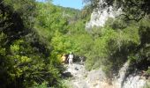 Randonnée Marche Lussan - PF-Lussan - La Lèque,le menhir,les Concluses - Photo 8