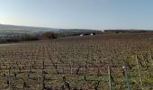 Randonnée Marche Château-Thierry - Les vignes Castelles - version 2 - Photo 8