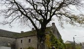 Tour Wandern Ferrières - Vieuxville - Photo 2