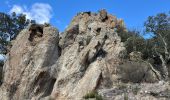 Tour Wandern Argelès-sur-Mer - Château de Valmy par les dolmens - Photo 6