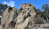 Excursión Senderismo Argelès-sur-Mer - Château de Valmy par les dolmens - Photo 6