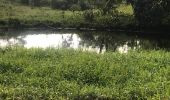 Trail Walking Sainte-Anne - Belle mare  - Photo 1