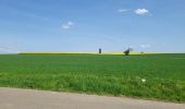 Trail Walking Sainte-Ode - BeauPlateau - Photo 11