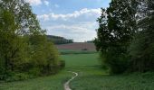 Tour Wandern Bertem - Bertem 24/04/2022  - Photo 4