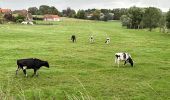 Tocht Stappen Zonnebeke - Zonnebeke 21,5 km - Photo 18