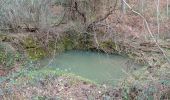 Tour Wandern Saint-Paul-le-Jeune - 07 les passages de voûtes au pont Doulovy 2 /02/25 - Photo 3