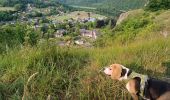 Trail Running Dinant - D'Anseremme à Dinant - Photo 14