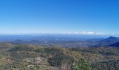 Excursión Senderismo Signes - Mourre d'Agnis en partant de Signes - Photo 9