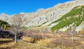 Randonnée Marche Jausiers - Cîme de Voga - Photo 6