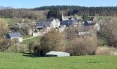 Tour Wandern Havelange - Boffeu -Chardeneux - Méan - Photo 2