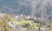 Trail Walking Castellane - Castelane - Photo 12