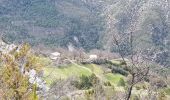 Tocht Stappen Castellane - Castelane - Photo 12