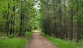 Trail Walking Ernolsheim-lès-Saverne - 2019-05-30 Marche Mt St Michel Ernolsheim les Saverne Reel - Photo 12