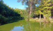 Trail Walking Saint-Cyprien - jardin des plantes de Saint cyprien  - Photo 6