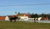 Percorso A piedi Aitrach - Aitracher Nestbaumweg - Photo 8