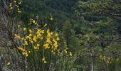 Trail Walking Die - Col de Bergu  - Photo 4