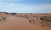 Tour Wandern M'Hamid El Ghizlane ⵎⵃⴰⵎⵉⴷ ⵍⵖⵯⵣⵍⴰⵏ امحاميد الغزلان - Campement 3 au Campement 4 - Photo 9