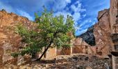 Tour Wandern Estoublon - Les Gorges de Trévans Via Estoublon - Photo 3