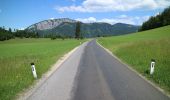 Trail On foot Fladnitz an der Teichalm - Wanderweg Gschaid - Nock - Runde - Photo 3