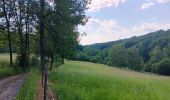 Randonnée Marche nordique Aywaille - trek2306 remouchamps . ninglinspo . Vert-Buisson . berinzenne . source sauveniere . niveze . sart . royonpré . polleur . chawion . theux . hodbomont . forestia . remouchamps  - Photo 1