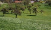 Tour Zu Fuß Künzell-Bachrain - Dietershausen Nordic Walking 3 - Photo 3