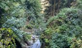 Tour Wandern Salvan - Les gorges à Martigny - Photo 1