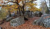 Randonnée A pied Le Vaudoué - Boucle Le Vaudoué - Photo 7