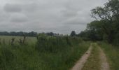 Tocht Stappen Trévol - Descente sur moulins - Photo 2