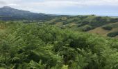 Tour Wandern Ainhoa - Ainhoa tour d’errebi par col des trois croix  - Photo 6