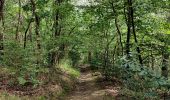 Trail Walking Pepinster - La promenade de Tribomont  - Photo 18