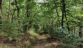 Percorso Marcia Pepinster - La promenade de Tribomont  - Photo 18