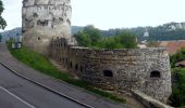 Tour Zu Fuß Kronstadt - Brașov (centru) - Drumul Serpentinelor - Vf. Tâmpa - Photo 8