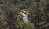 Trail Road bike Langogne - Langogne, le nouveau monde - Photo 2