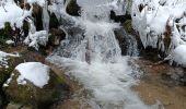 Trail Snowshoes Belmont - cascade de la serva - Photo 3