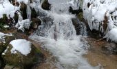 Tour Schneeschuhwandern Schönenberg - cascade de la serva - Photo 3