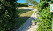 Excursión Senderismo Amboise - Amboise - À la découverte des trésors cachés - Photo 19