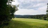 Trail On foot Grafenhausen - Rappenfelsensteig - Photo 7