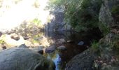 Randonnée Marche Malmedy - cascade du bayehon et un peu plus - Photo 2