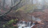 Excursión Senderismo Rosis - Caroux dans le brouillard  - Photo 1