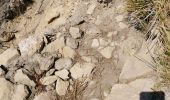 Trail Walking Toudon - FFR - la Cime des Colettes  - Photo 5