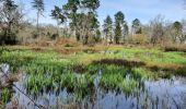 Tour Wandern Blanquefort - Tanais finalisé - Photo 2