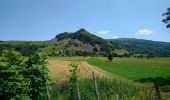 Tour Wandern Dienne - Cantal - Dienne - Drils et Laqueille - 7.2km 205m 2h50 - 2019 07 05 - Photo 2