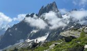 Randonnée Marche Chamonix-Mont-Blanc - Chamonix : Montenvers-Aiguille du Midi - Photo 17