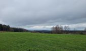 Tour Wandern Manhay - rando deux rys 12-04-2023 - Photo 12